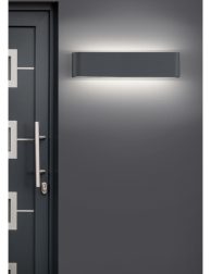 Moderne graue Haustür und Glas