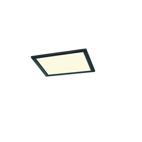industriële-rechthoekige-zwarte-plafondlamp-trio-leuchten-phoenix-674013032