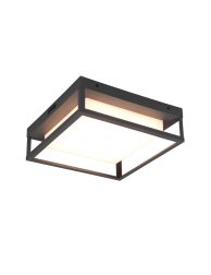 industriële-vierkante-antracieten-plafondlamp-trio-leuchten-witham-677860142