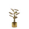 klassieke-gouden-tafellamp-met-bladeren-light-and-living-cambria