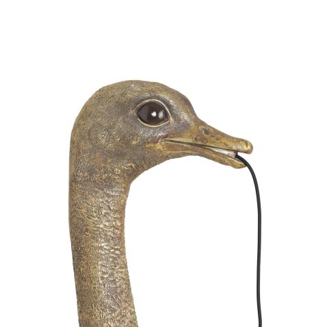 moderne-gouden-struisvogelkop-wandlamp-light-and-living-ostrich-5