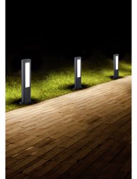 Night landscape of the park. The path is covered with beige tile
