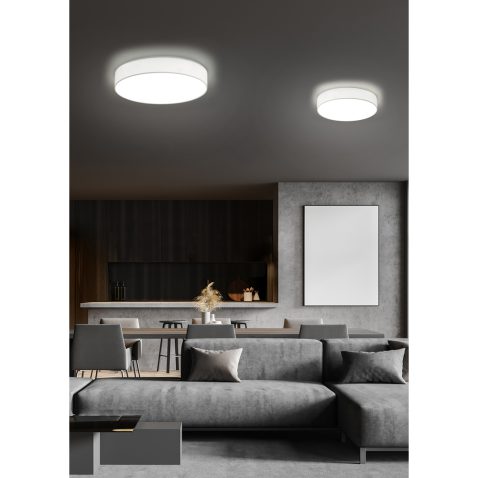 Panoramic gray living room with poster