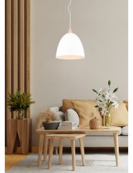 Bright and cozy modern living room interior have sofa and plant