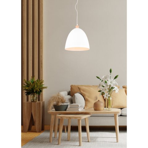 Bright and cozy modern living room interior have sofa and plant