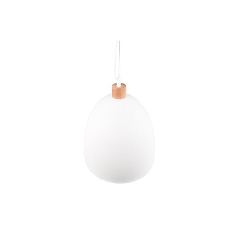 moderne-witte-hanglamp-met-hout-reality-jagger-r30681931-4