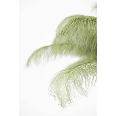 moderne-zwarte-tafellamp-groene-struisvogelveren-light-and-living-feather-5