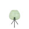 retro-zwarte-tafellamp-groen-rookglas-light-and-living-mayson