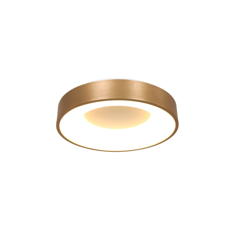 steinhauer-plafonniere-ringlede-goud-kunststofmetaal-ø30cm-led-3086go-1
