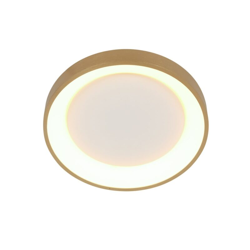 steinhauer-plafonniere-ringlede-goud-kunststof-ø28cm-led-3690go-1