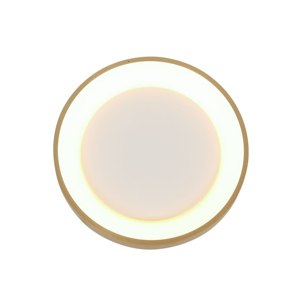 Gouden Minimalistische LED Plafondlamp Steinhauer Ringlede - Afbeelding 9