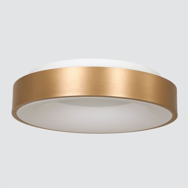 steinhauer-plafonniere-ringlede-goud-kunststofmetaal-ø48cm-led-2563go--12