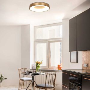 Gouden plafondlamp Steinhauer Ringlede