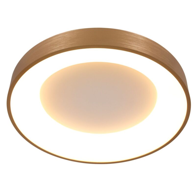 steinhauer-plafonniere-ringlede-goud-kunststofmetaal-ø48cm-led-2563go-1