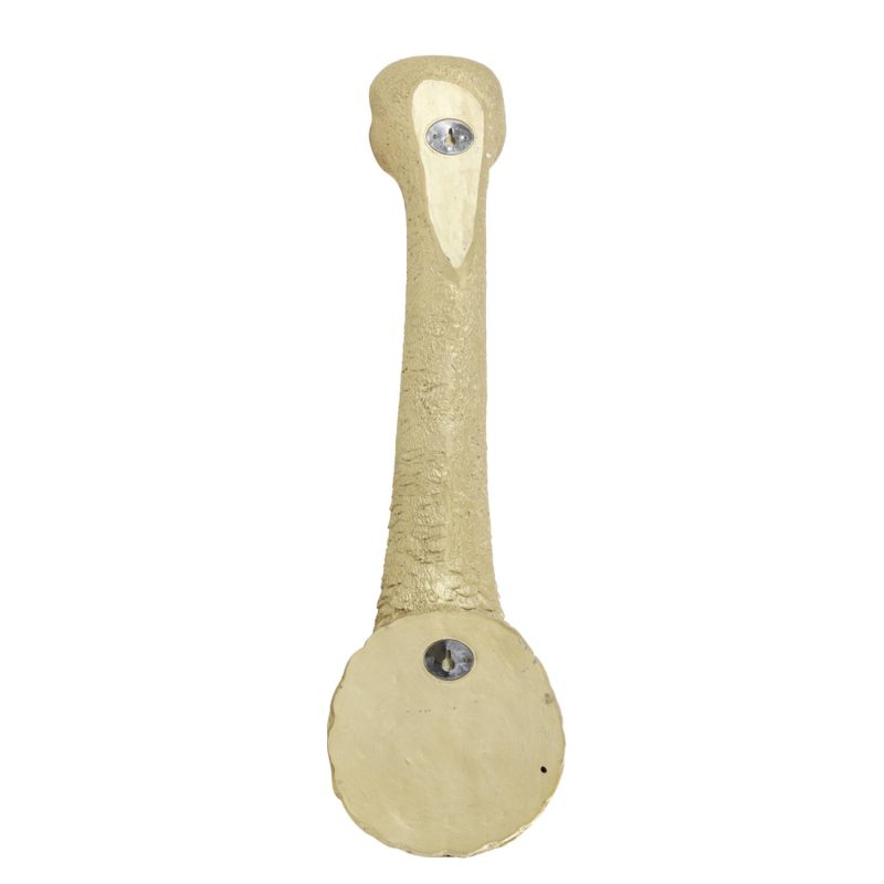 light&living-wandlamp-ostrich-goud-kunststof-dierenlamp-e27-3122484-1