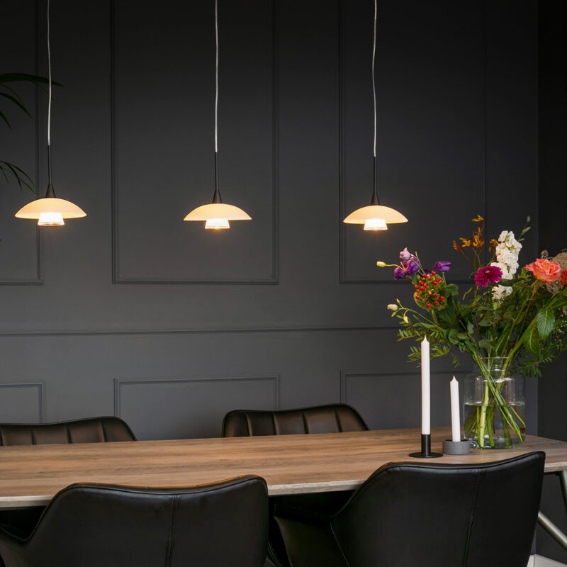 steinhauer-hanglamp-tallerken-zwart-glasmetaal-ø18cm-g9-2655zw-1