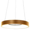 hanglamp-met-ring-steinhauer-ringlede-2695go