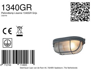 mexlite-plafonniere-lisanne-grijs-glasmetaal-bullseyelamp-e27-1340gr-1