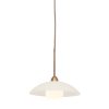 led-hanglamp-met-glazen-schotel-steinhauer-sovereign-classic-2740br