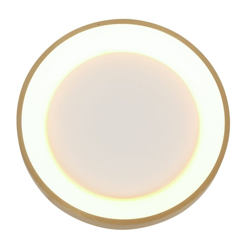 steinhauer-plafonniere-ringlede-goud-kunststof-ø38cm-led-3691go-1