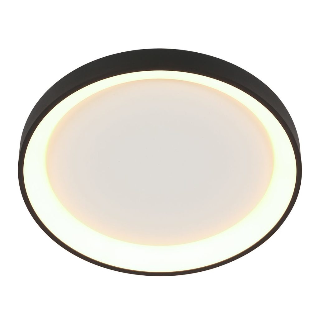 Modern Zwart Rond LED Plafondlamp Steinhauer Ringlede - Afbeelding 8