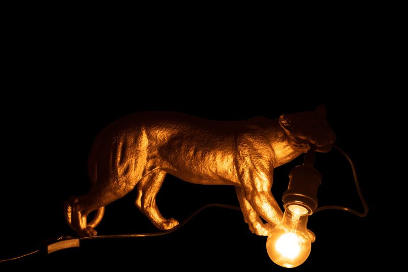 Moderne gouden tafellamp poema Jolipa Puma resin - Afbeelding 4