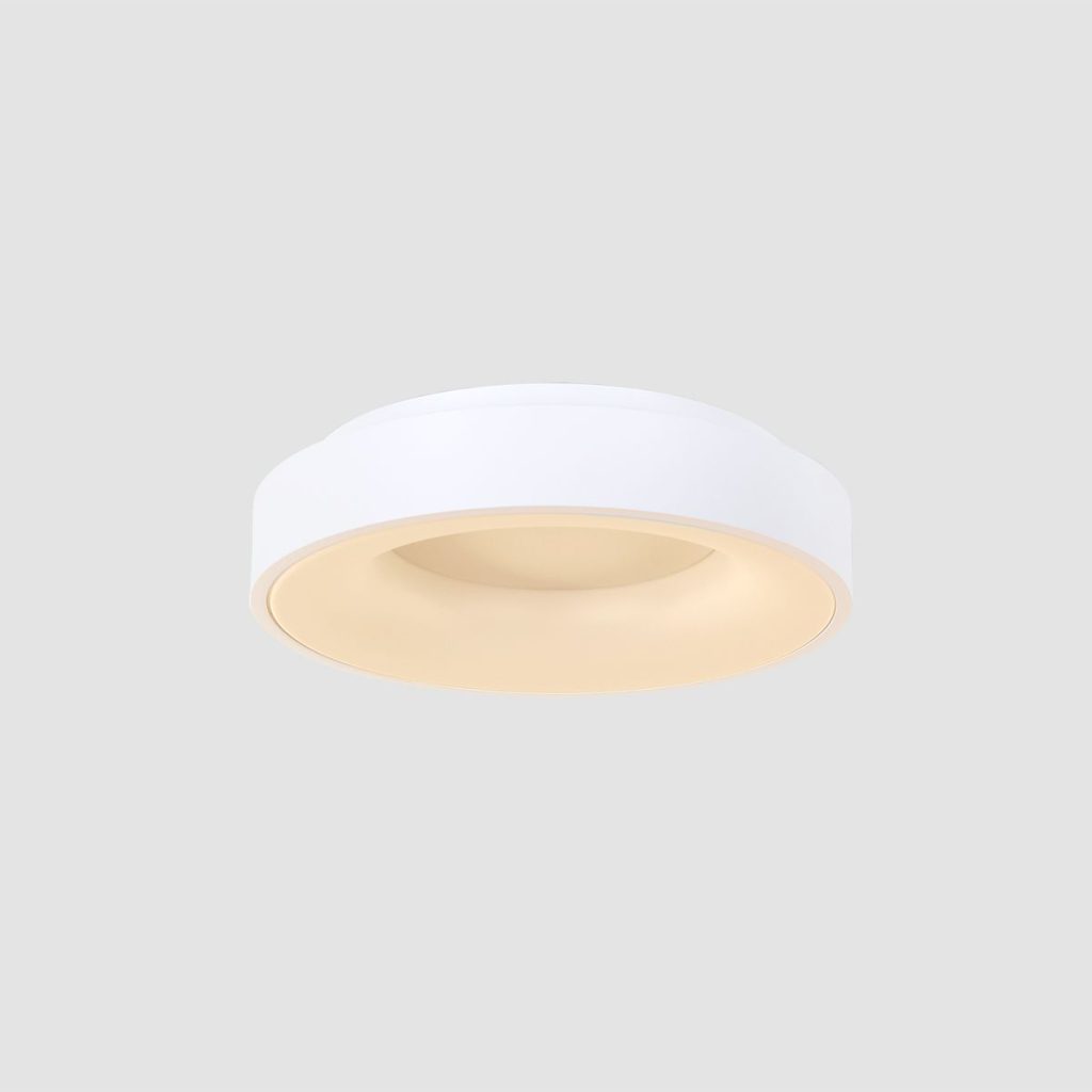 Moderne ronde plafondlamp LED Steinhauer Ringlede - Afbeelding 13