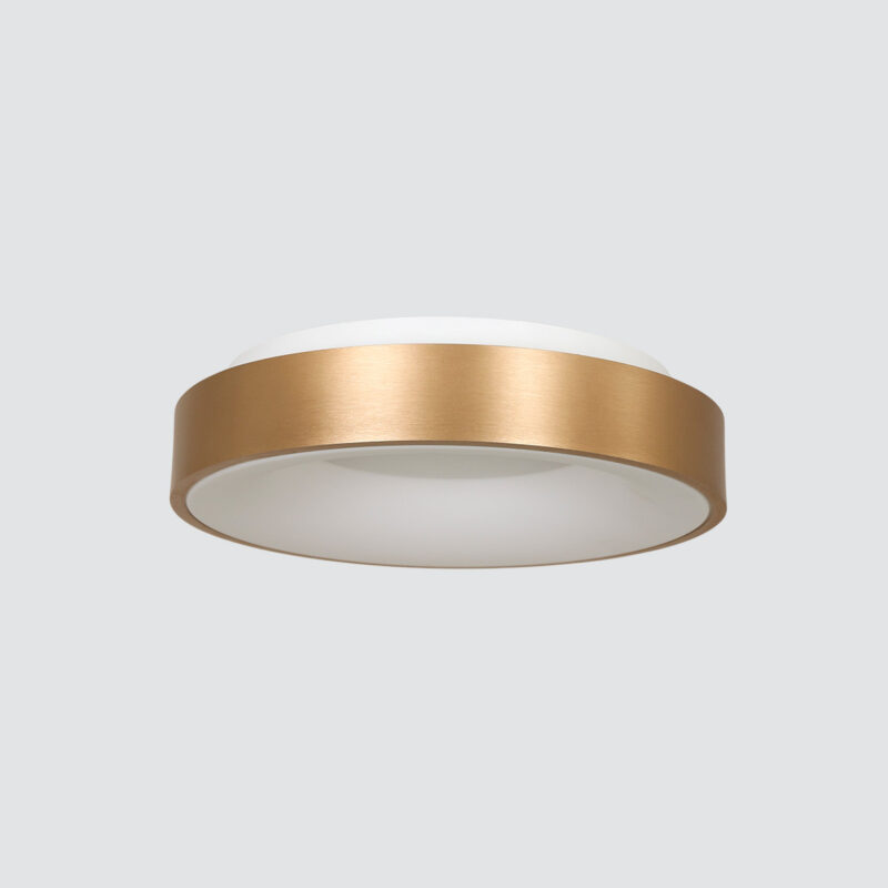 steinhauer-plafonniere-ringlede-goud-kunststofmetaal-ø38cm-led-2562go--12