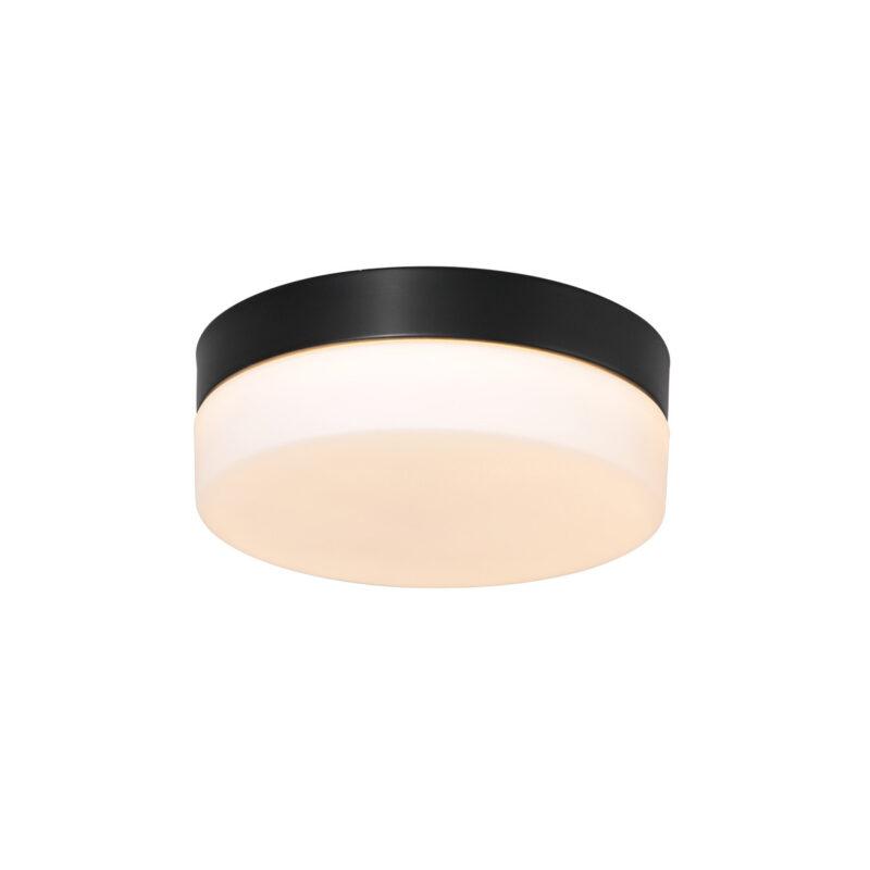 steinhauer-plafonniere-ikaro-zwart-glasmetaal-ø18cm-led-1362zw-1