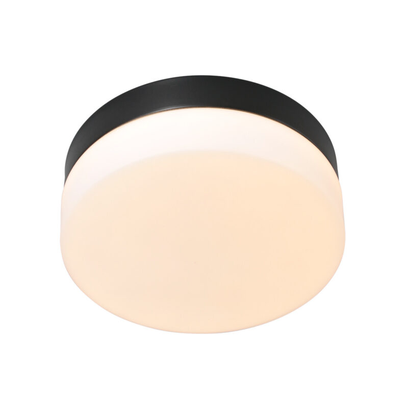 steinhauer-plafonniere-ikaro-zwart-glasmetaal-ø24cm-led-1363zw-1