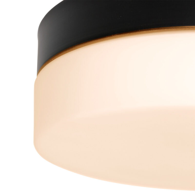 steinhauer-plafonniere-ikaro-zwart-glasmetaal-ø24cm-led-1363zw-1