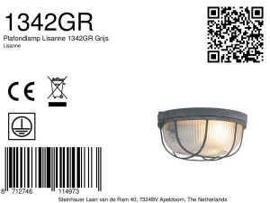 mexlite-plafonniere-lisanne-grijs-glasmetaal-ø17cm-e27-1342gr-1