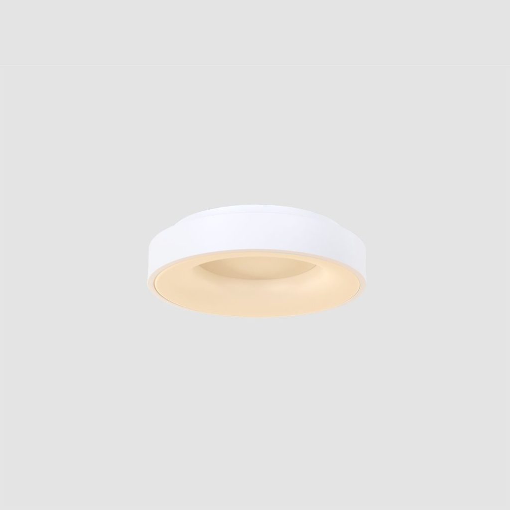 Strakke ronde LED plafondlamp Steinhauer Ringlede - Afbeelding 14