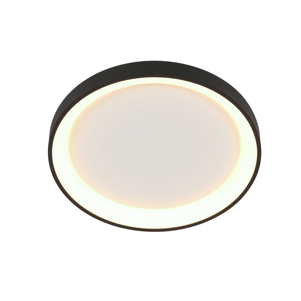 Strakke Zwart-Witte Ronde LED Plafondlamp Steinhauer Ringlede - Afbeelding 8
