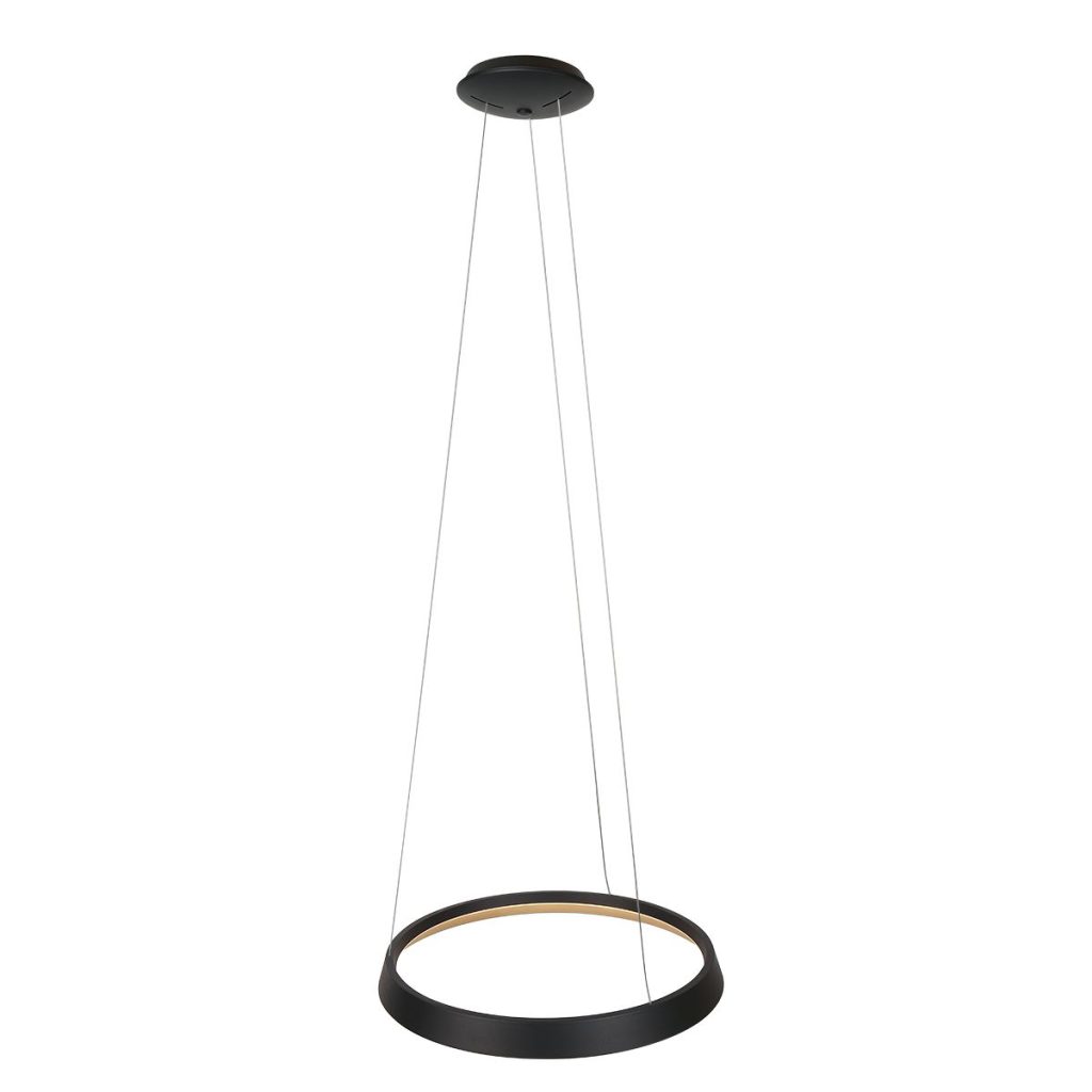 Zwarte Ring Hanglamp met LED Verlichting Steinhauer Ringlux - Afbeelding 8