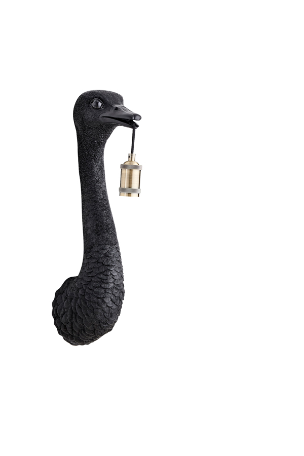 design-wandlamp-zwart-struidvogel-light-and-living-3123112-2