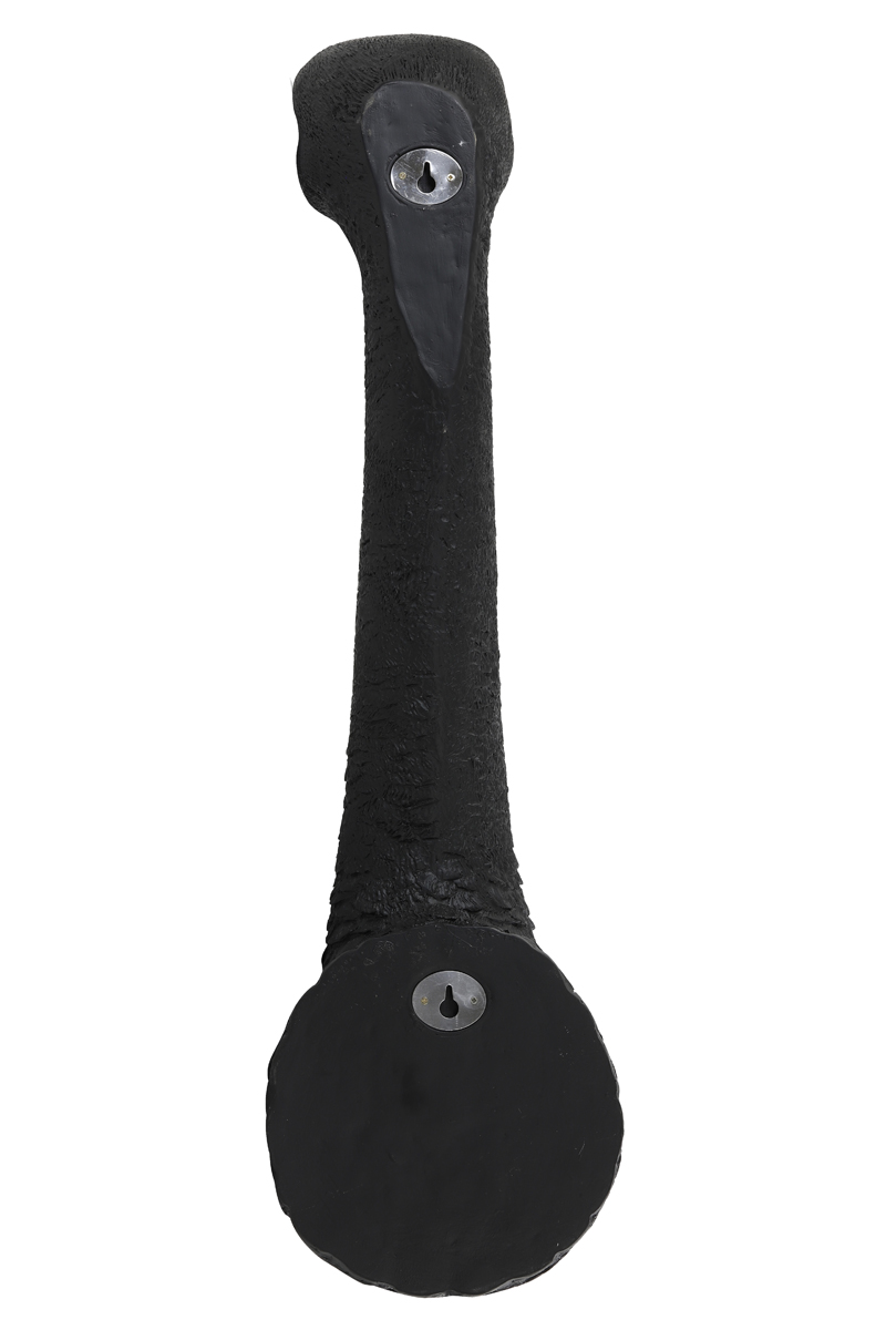 design-wandlamp-zwart-struidvogel-light-and-living-3123112-6