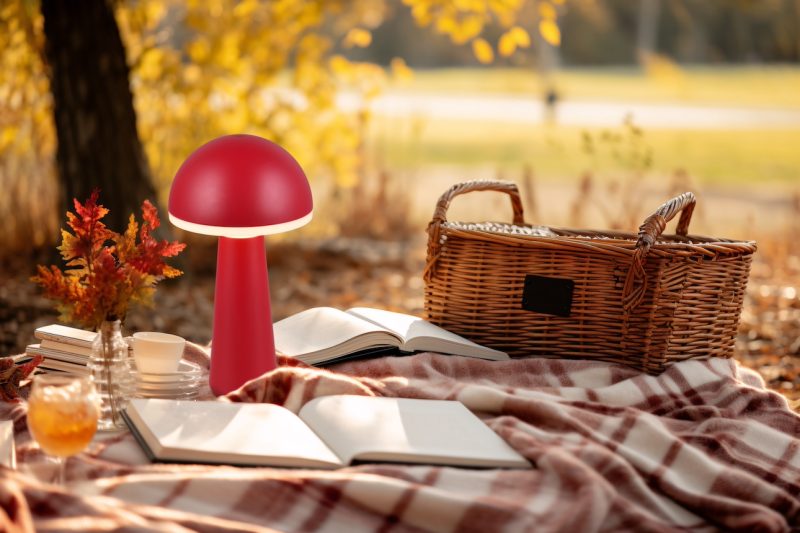 a cozy autumn picnic setup, focusing sharply on a woven basket and a plaid blanket strewn and an open book