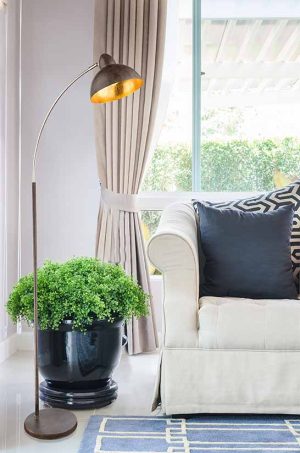 black pillows on classical style sofa with black lamp