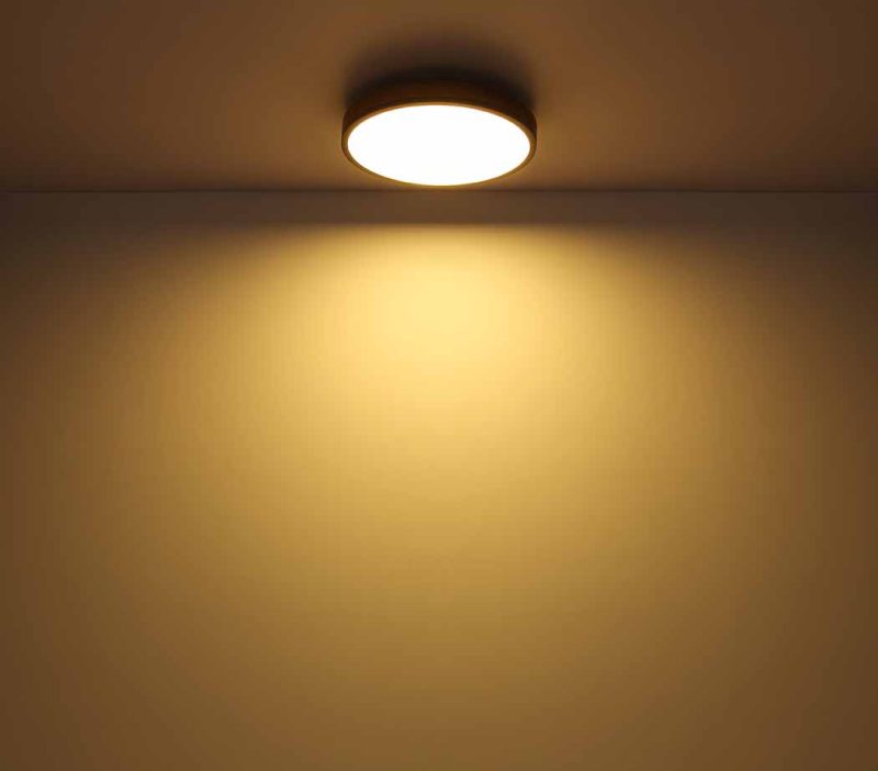 Grijze landelijke metalen plafondlamp Globo Doro - Afbeelding 4