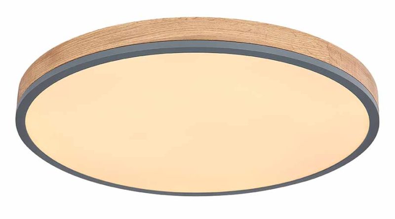Metalen grijze ronde landelijke plafondlamp Globo Doro - Afbeelding 4