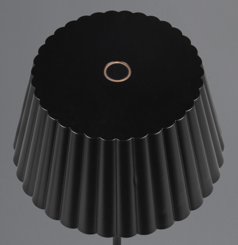 Metalen oplaadbare vloerlamp zwart binnen/buiten Suarez - Afbeelding 2