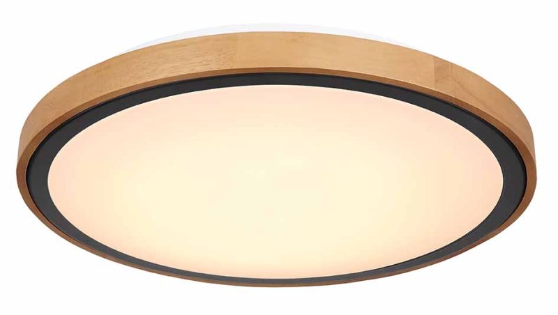 Metalen plafondlamp zwart landelijk Globo Bruno - Afbeelding 4