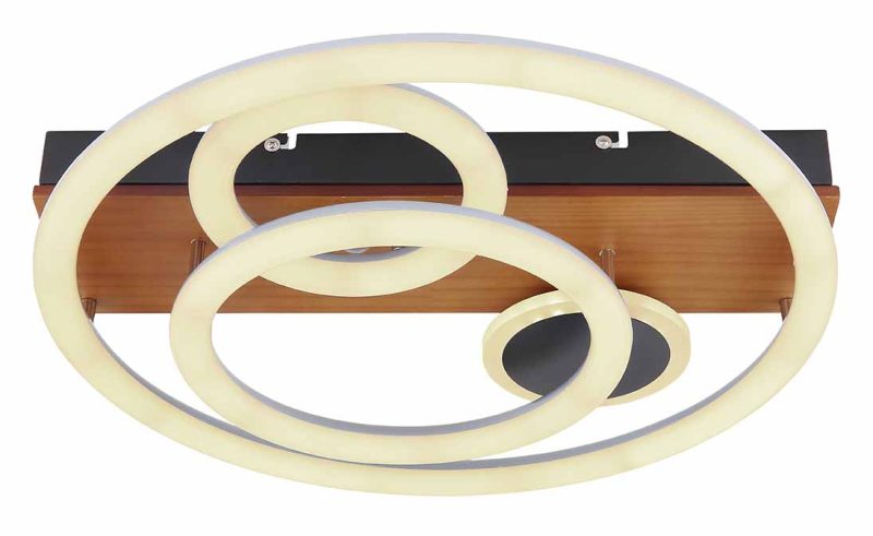 Metalen zwarte moderne plafondlamp Globo Darryl - Afbeelding 2