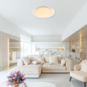 globo-plafonniere-optima-wit-metaal-ø55cm-led-41310-60--60