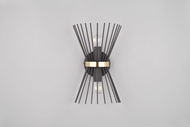 Zwarte filigraan 2-lichts up-down wandlamp  Rod - Afbeelding 3