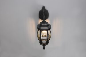 trioleuchten-wandlamp-elvo-zwart-aluminium-lantaarn-e27-206960132-1
