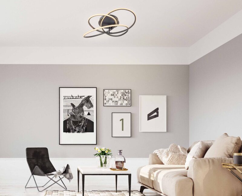 Zwart/witte ronde plafondlamp ringconstructie Globo Panda - Afbeelding 4