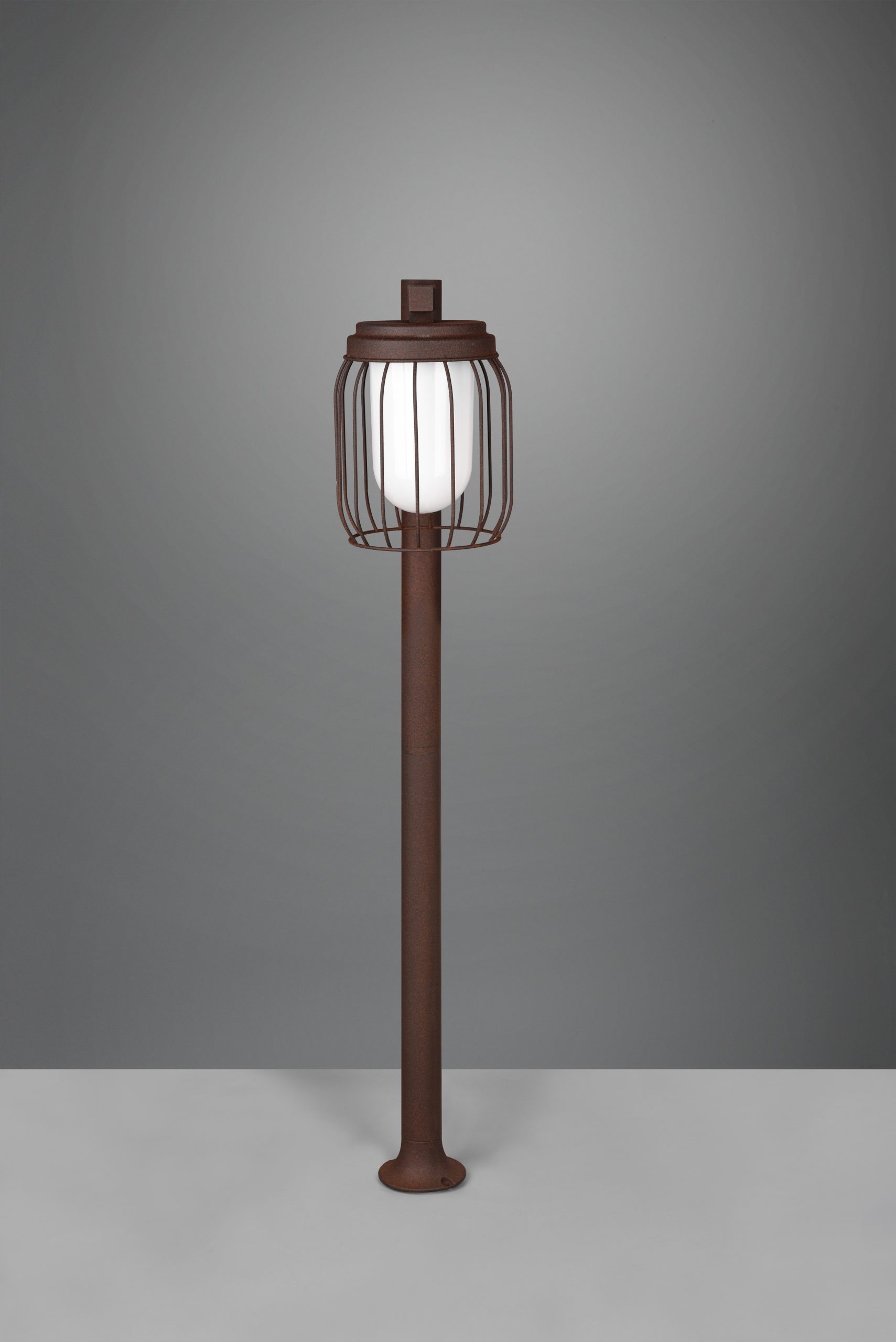 Directlampen biedt kooilampen aan