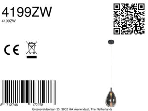 steinhauer-hanglamp-glimsy-zwart-glasmetaal-ø22cm-led-4199zw-8a